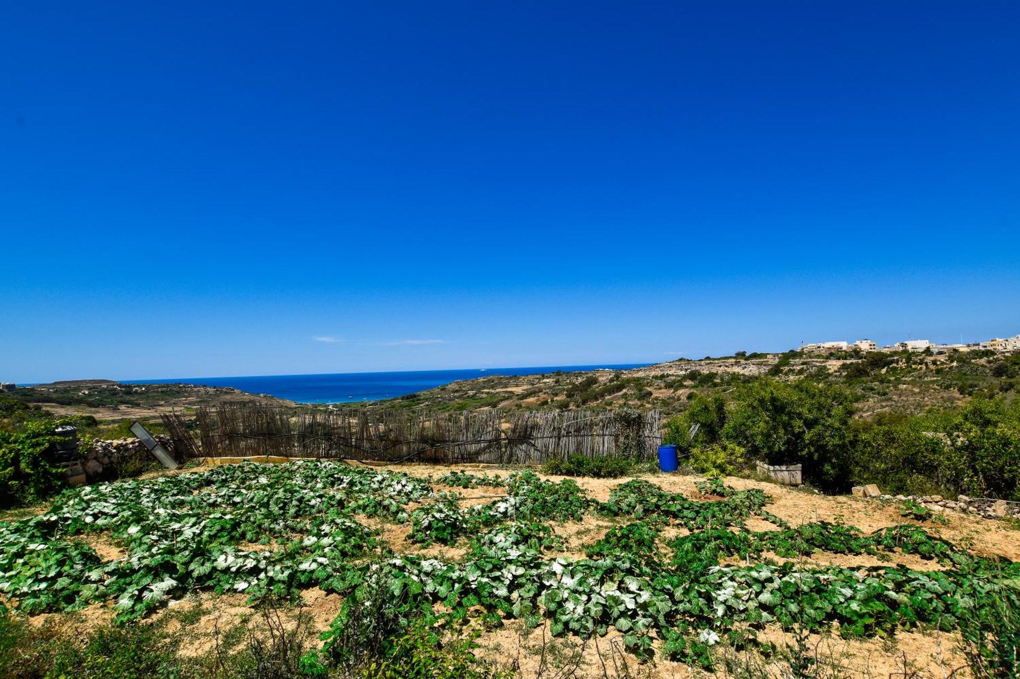 Ramla Valley Vista In With Private Pool Appartement